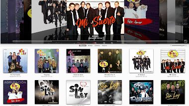 DISCOGRAFIA DE SIN LEY