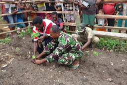 Satgas TMMD Kodim Merauke Ajak Warga Bifo Praktek Bercocok Tanam