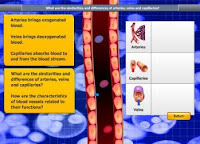 Cikgu Nurul's Blog: Chapter 2 - BLOOD CIRCULATION AND 