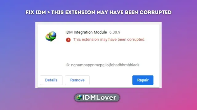 Fix IDM Integration Module may have been corrupted error