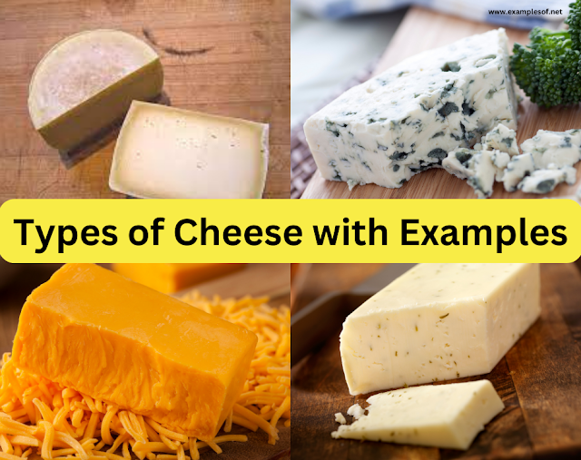 Types of Cheese, Origin and Microorganisms invoved with Examples || Blue Cheese, Cheddar, Roquefort, Camembert, Parmesan, Mozzarella  and Romano