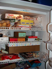 Freezer BEFORE