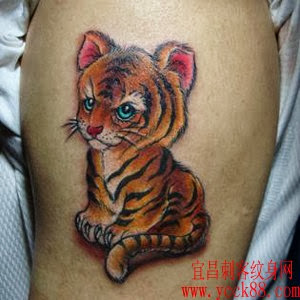 Fotos de Tatuagens Femininas de Tigre