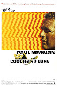 Paul Newman as 'Luke' in Cool Hand Luke (cool hand luke movie poster)