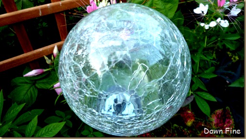 garden_012
