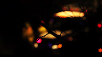 Fire truck and fire fighters respond to a rescue call. Shot with the background out of focus with foreground branches in focus.  Voyeuristic.