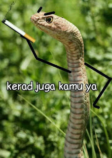 kerad juga kamu ya