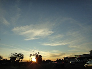 041dev-DSC05477