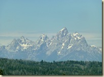 duboisGTNP0021