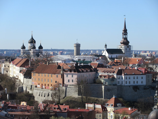 Tallinn The Wandering Juan