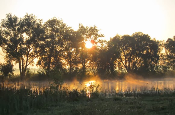 Sunrise at the water