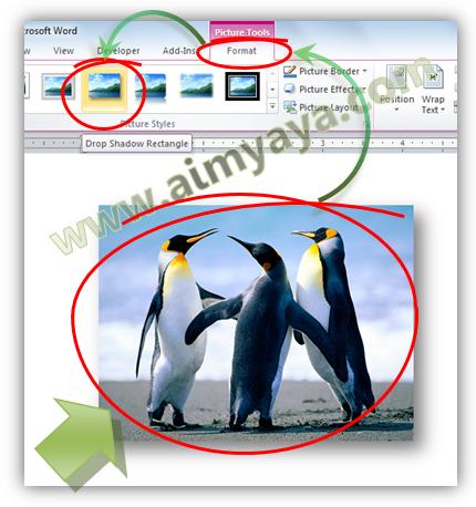 Membuat efek shadow pada gambar dan teks di Ms Word  Cara Membuat Bayangan Gambar dan Teks Word 2010