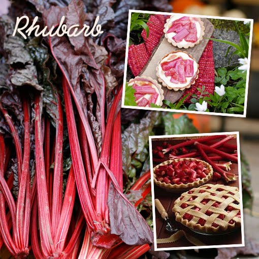 ingredient of the month - rhubarb