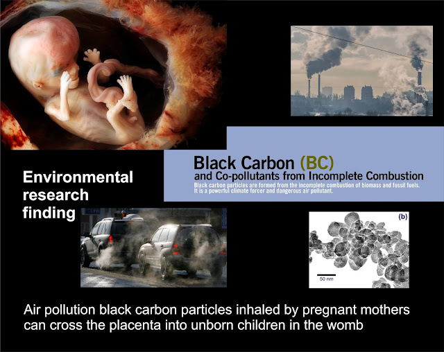 https://www.theguardian.com/environment/2019/sep/17/air-pollution-particles-found-on-foetal-side-of-placentas-study