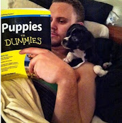 animals funny pic (puppies for dummies)