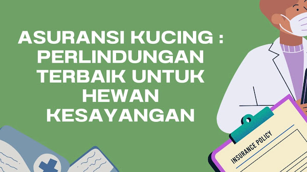 Asuransi Kucing: Perlindungan Terbaik untuk Hewan Kesayangan