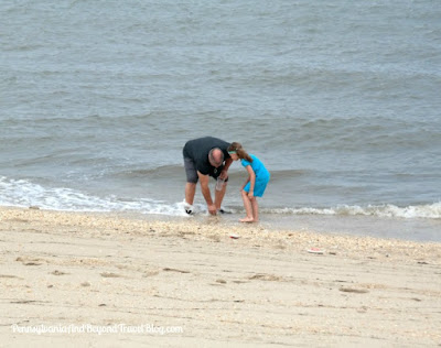 Hunting for Cape May Diamonds on Higbee Beach