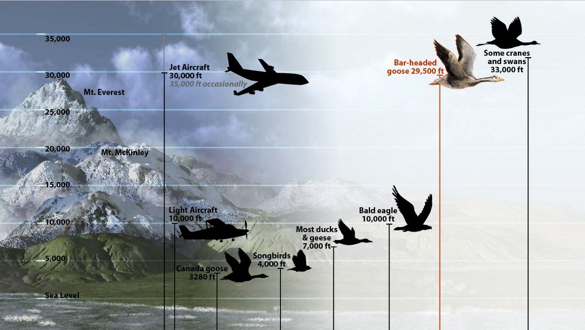 Mengenal Misteri dan Seluk Beluk Pendakian Gunung Everest 