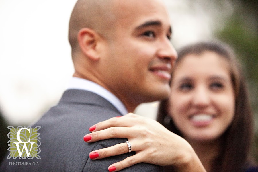 engagement portrait open field