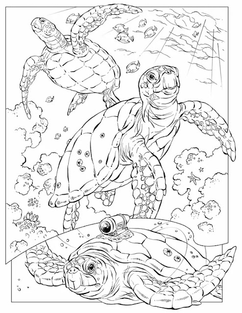 Printable Sea Turtle Coloring Pages for Adults Pdf
