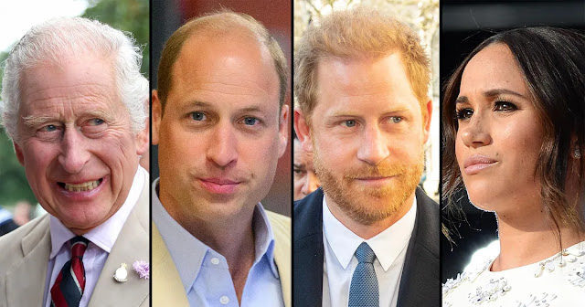Unraveling the Royal Rift: Analyzing Prince Harry and Meghan Markle's Struggle with King Charles and Prince William