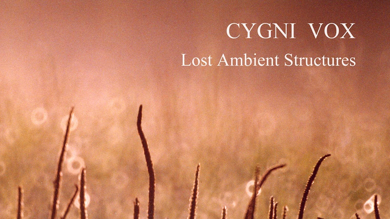 11 июня 2018 года:«Lost Ambient Structures» — Вышел новый альбом проекта «Cygni Vox»