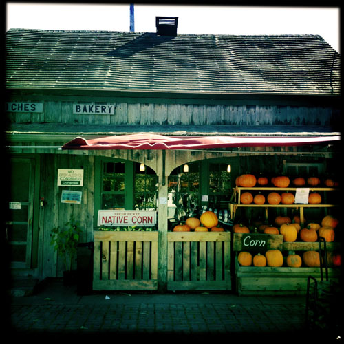 Cape Cod farm stand with corn and pumpkins by Karina Allrich
