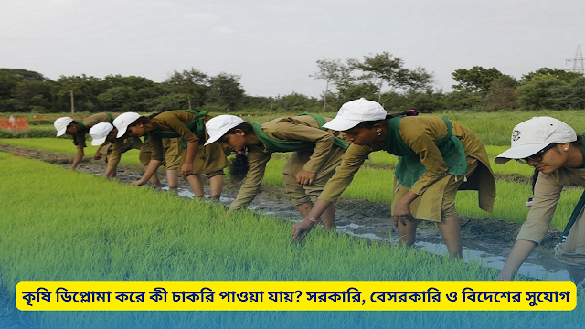 কৃষি ডিপ্লোমা করে কি কি চাকরি করা যায়