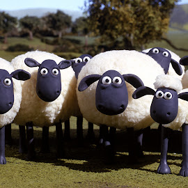 gambar-gambar Shaun the Sheep