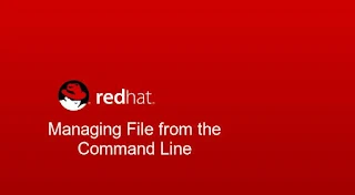 Managing File From the Command Line