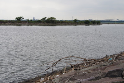 葛西臨海公園