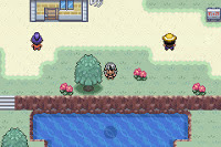 Pokemon Nameless Version screenshot 01