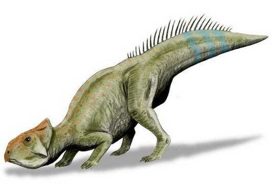 10 Spesies Dinosaurus Baru Yang Ditemukan [ www.BlogApaAja.com ]