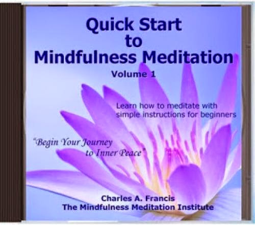 The Mindfulness Meditation Institute