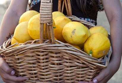 A basket full of lemons