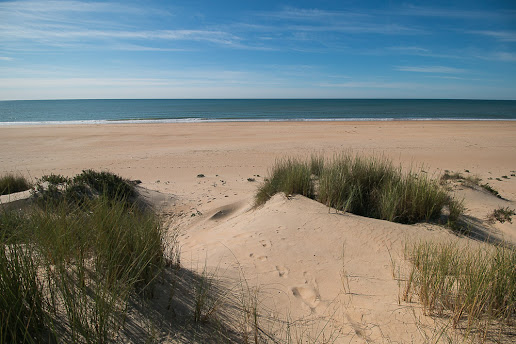 Vista de las dunas y la playa de Santa Pura