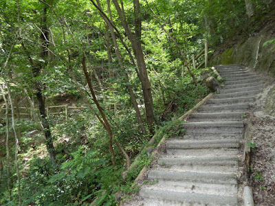 府民の森 ほしだ園地