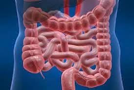 Symptoms And Treatment Of Ulcerative Colitis