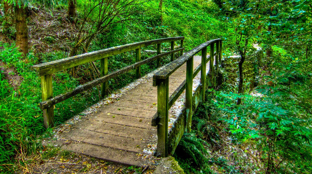 My Oregon Photography : Oaks Bottom Wildlife Refuge