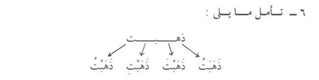 isnad fi'l madi to damir muttasil ta ت