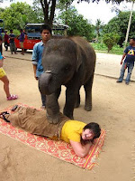 Thai Elephant Massage