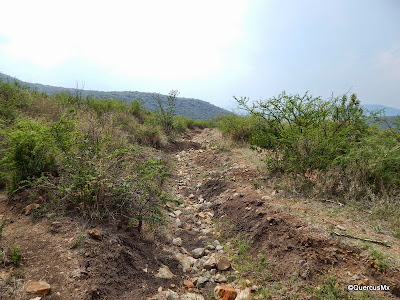 Brecha solo para ciclistas y excursionistas