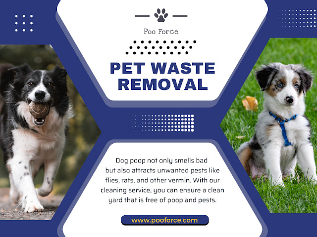 Pet Waste Removal