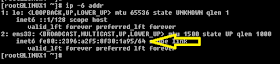 Linux: Deshabilitar IPv6