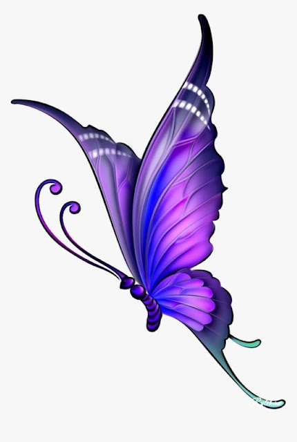 hd wallpaper butterfly
