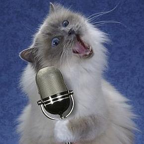 cats singing