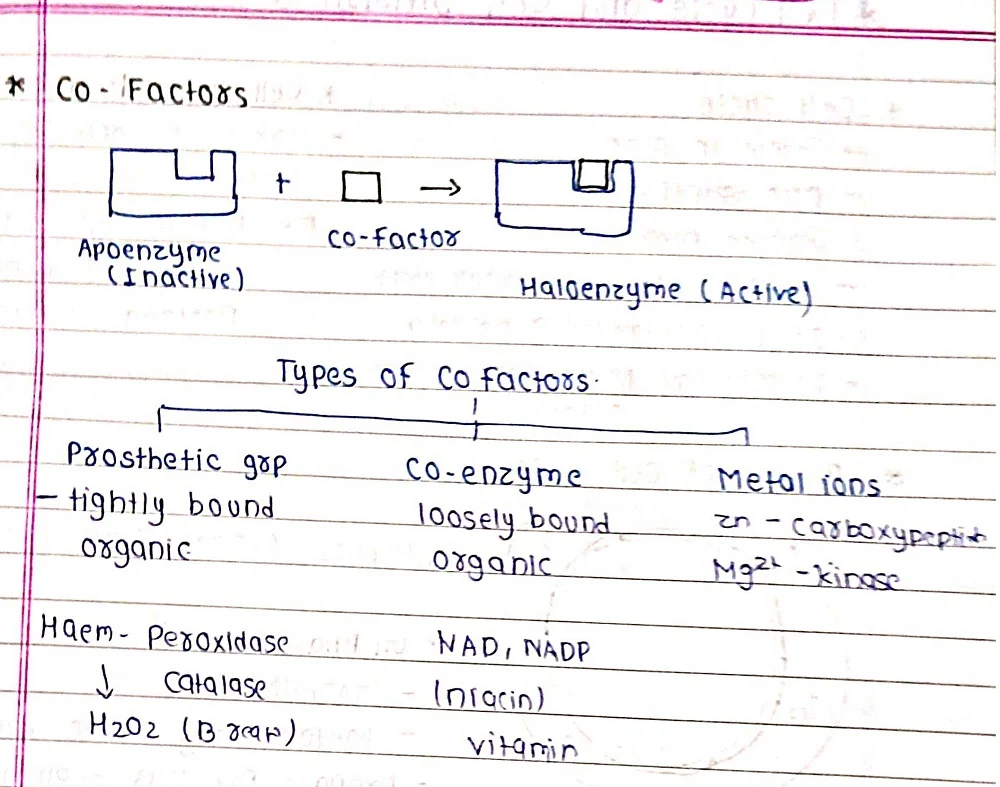 Biomolecules - Biology Short Notes 📚