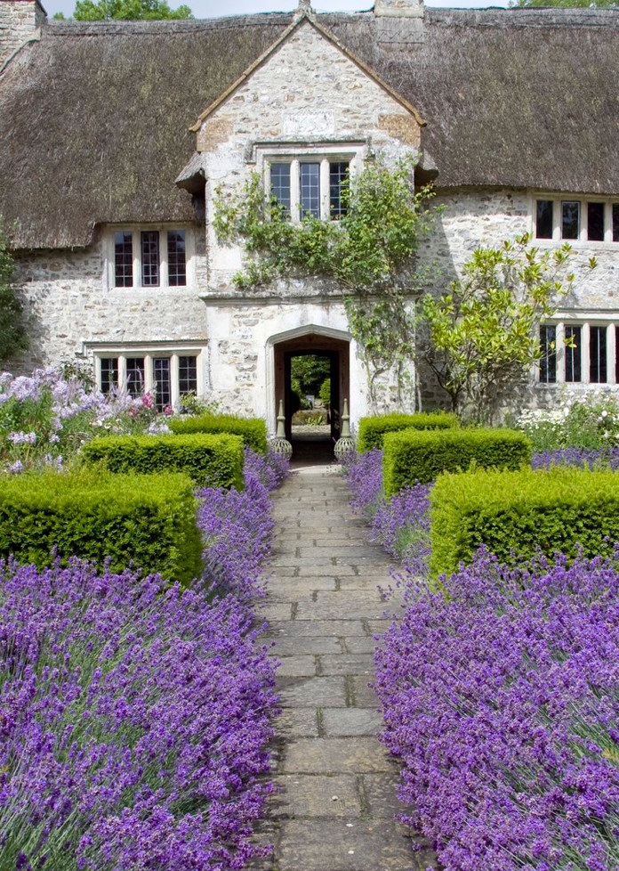 Lavender Landscaping Ideas