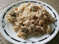 macaroni spinach casserole