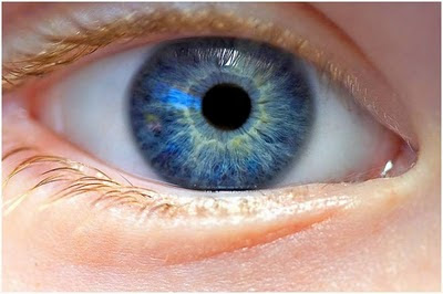 Unique Facts About Human Eyes